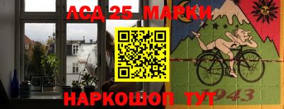 spice Кингисепп