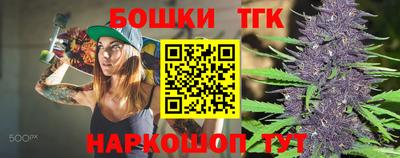 spice Кингисепп