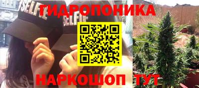 тгк Кимры