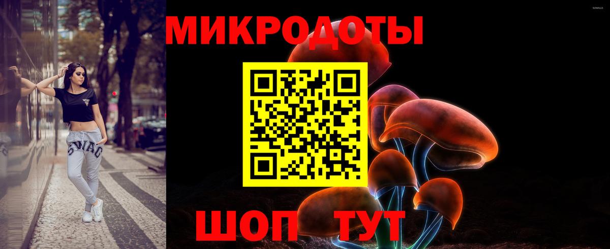 Галлюциногенные грибы MAGIC MUSHROOMS Корсаков