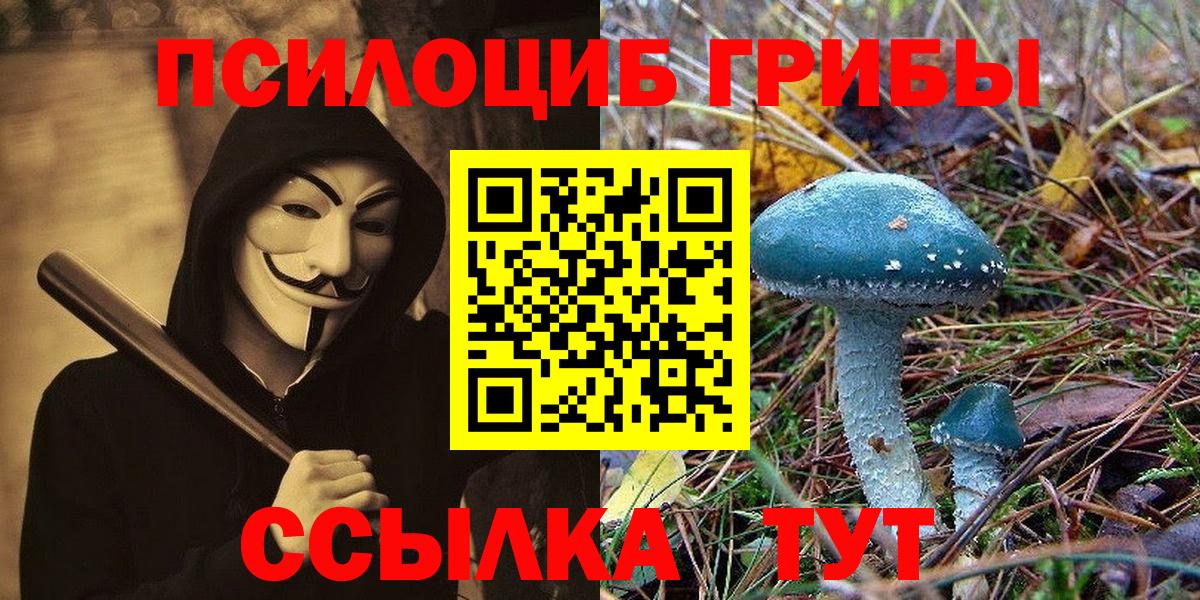 Галлюциногенные грибы Psilocybine cubensis  Псилоцибиновые грибы мицелий  Вход с VPN  Корсаков 